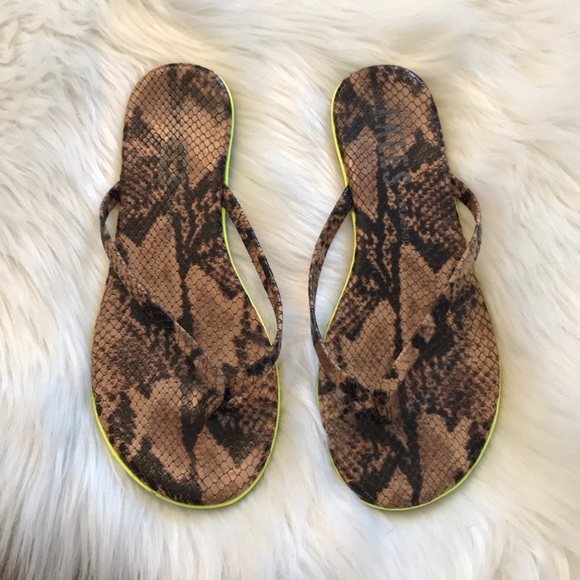 tkees snakeskin
